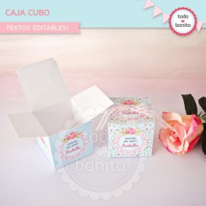 Shabby Chic Aqua+Rosa: cajitas cubo