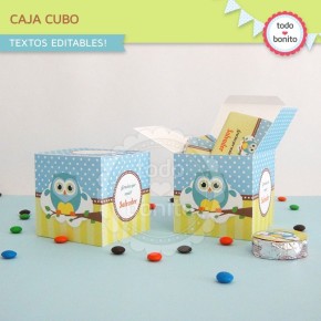 Búhos niños: cajita cubo