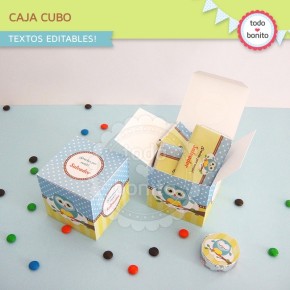 Búhos niños: cajita cubo