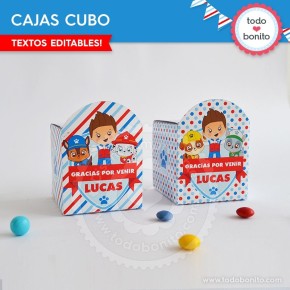 Paw Patrol: cajitas cubo...