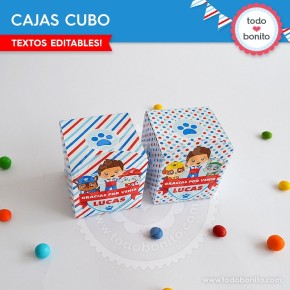 Paw Patrol: cajitas cubo...