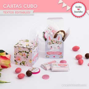 Conejita: cajita cubo