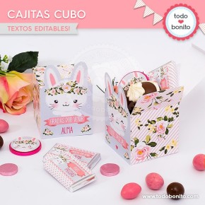 Conejita: cajita cubo