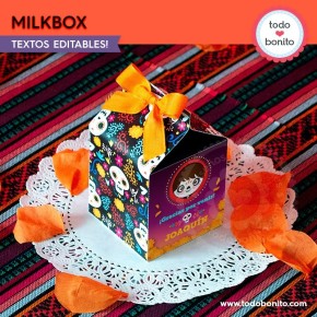 Coco: cajita milkbox