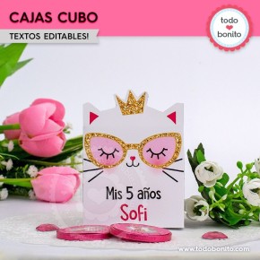 Gatita princesa cool: cajita cubo