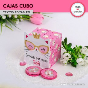 Gatita princesa cool: cajita cubo