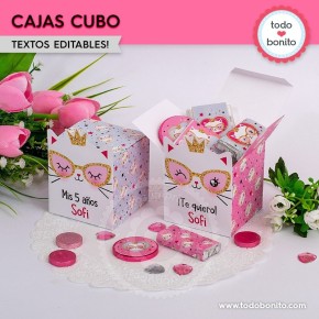 Gatita princesa cool: cajita cubo