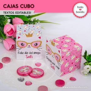 Gatita princesa cool: cajita cubo