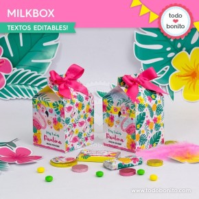 Flamencos y ananá: cajita milkbox