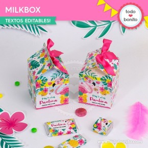 Flamencos y ananá: cajita milkbox