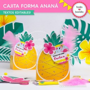 Flamencos y ananá: cajita con forma