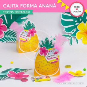 Flamencos y ananá: cajita con forma