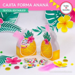 Flamencos y ananá: cajita con forma