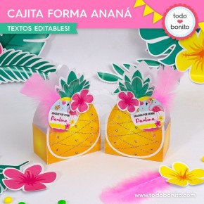 Flamencos y ananá: cajita con forma