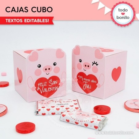 Cerdito: caja cubo