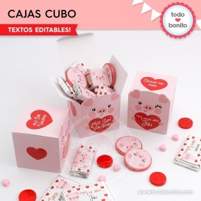 Cerdito: caja cubo