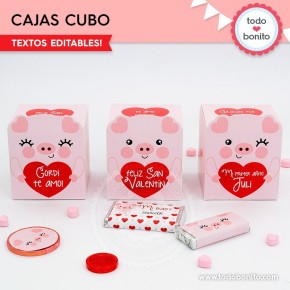 Cerdito: caja cubo