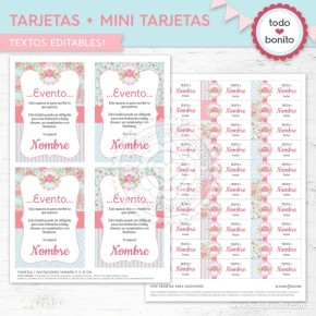 Shabby Chic aqua+rosa: tarjeta + mini tarjeta