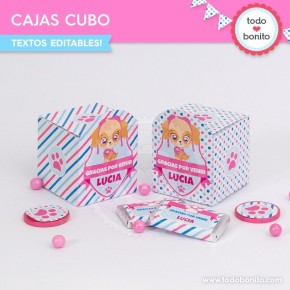 Cachorros Skye: cajita cubo para imprimir