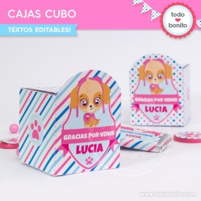 Cachorros Skye: cajita cubo para imprimir