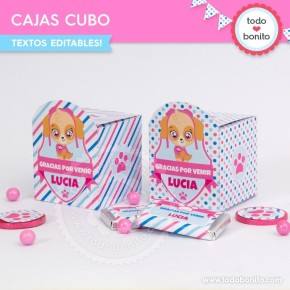 Cachorros Skye: cajita cubo para imprimir