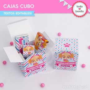 Cachorros Skye: cajita cubo para imprimir