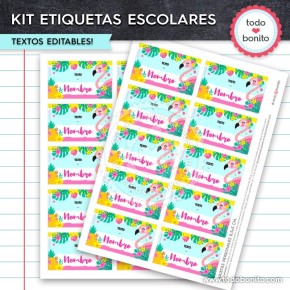 Flamencos: Kit imprimible etiquetas escolares