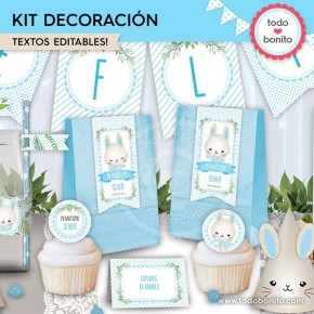 Conejito: kit imprimible decoración de fiesta