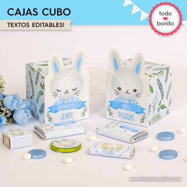 Conejito: cajita cubo