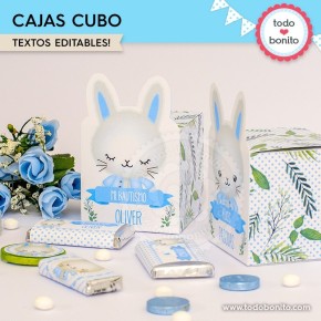 Conejito: cajita cubo