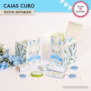 Conejito: cajita cubo