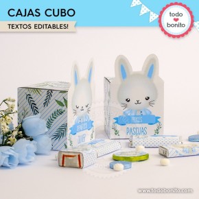 Conejito: cajita cubo