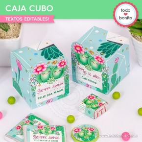 Cactus: cajita cubo