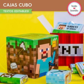 Minecraft: cajitas cubo