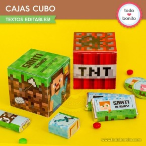 Minecraft: cajitas cubo