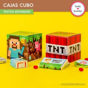 Minecraft: cajitas cubo