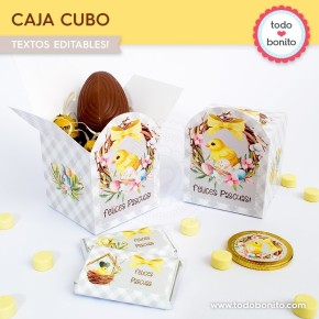 Pascuas pollito: cajita cubo