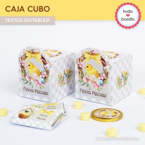 Pascuas pollito: cajita cubo