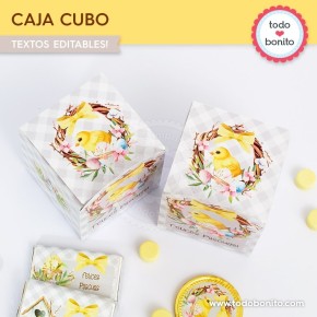 Pascuas pollito: cajita cubo