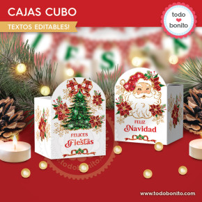 Santa vintage glitter dorado y rojo: cajas cubo