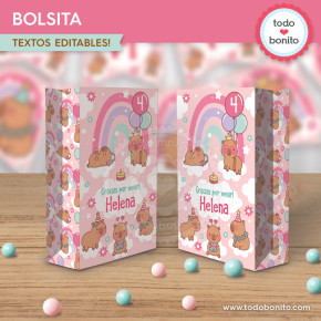 Capibara rosa: bolsa sorpresita