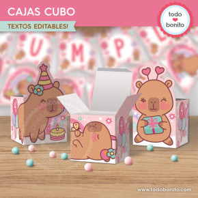 Capibara rosa: cajas cubo