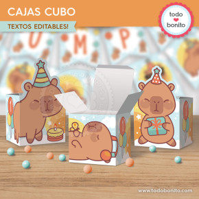 Capibara celeste: cajas cubo