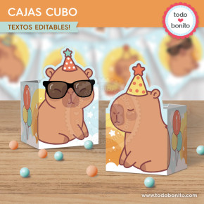 Capibara celeste: cajas cubo